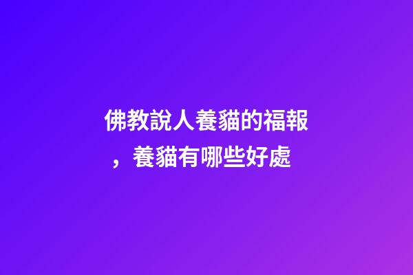 佛教說人養貓的福報，養貓有哪些好處